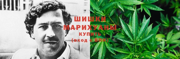 PSILOCYBIN Абинск