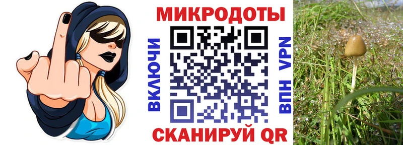 Галлюциногенные грибы MAGIC MUSHROOMS  Знаменск 