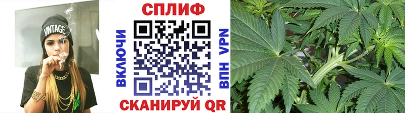 Конопля семена  закладка  Знаменск 